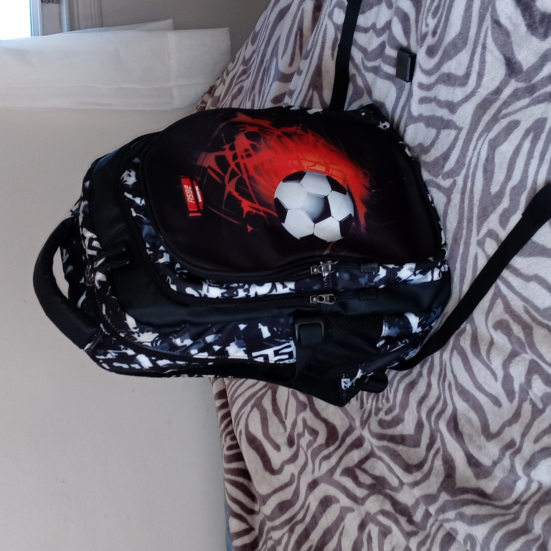 Asge Backpack